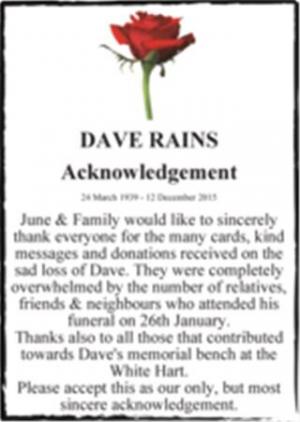 DAVE RAINS